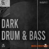 Element One Dark Drum and Bass (WAV)