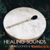 Gio Israel Healing Sounds - Drums, Gongs and Rituals (WAV) Gio Israel Healing Sounds - Drums, Gongs and Rituals (WAV)