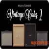 Audio Assault Seacow Cabs Industry Standard Vintage Cabs 1 (Amp Locker Cabs Presets IRs) Audio Assault Seacow Cabs Industry Standard Vintage Cabs 1 (Amp Locker Cabs Presets IRs)