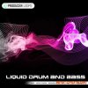Producer Loops Liquid Drum & Bass Vol. 3 (WAV) - сэмплы drum and bass