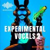 Seven Sounds Experimental Vocals 2 (WAV) Seven Sounds Experimental Vocals 2 (WAV)