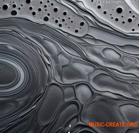 Touch Loops Molecular Rhythms