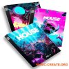 Loopsy HOUSE Bundle + HOUSE Vol. 3 (Viral, Serum Presets, FXP MiDi)