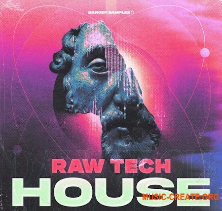 Banger Samples Raw Tech House
