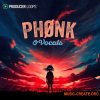Producer Loops Phonk & Vocals (MULTIFORMAT) Producer Loops Phonk & Vocals (MULTIFORMAT)