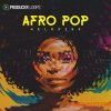 Producer Loops Afro Pop Melodies (MULTiFORMAT) Producer Loops Afro Pop Melodies (MULTiFORMAT)