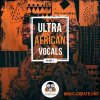 Vandalism Ultra African Vocals 3 (WAV)