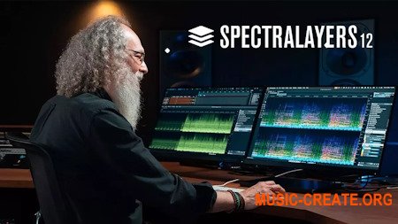 Steinberg SpectraLayers 12 v12.0.0