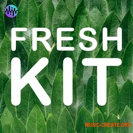 Noiiz Fresh Kit