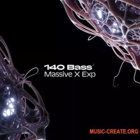 Native Instruments 140 Bass