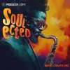 Producer Loops Soulected (MULTiFORMAT) Producer Loops Soulected (MULTiFORMAT)