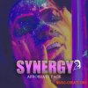 Dik3l Sounds Synergy Afrobeats 2 (WAV MiDi) Dik3l Sounds Synergy Afrobeats 2 (WAV MiDi)