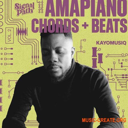 Signal Path Kayomusiq - Amapiano Chords And Beats Vol.2