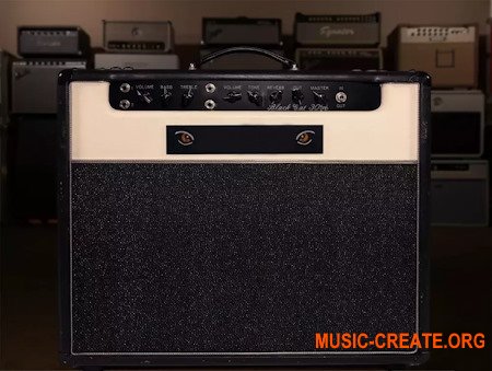 Alter Amp Works BC30 Sampson