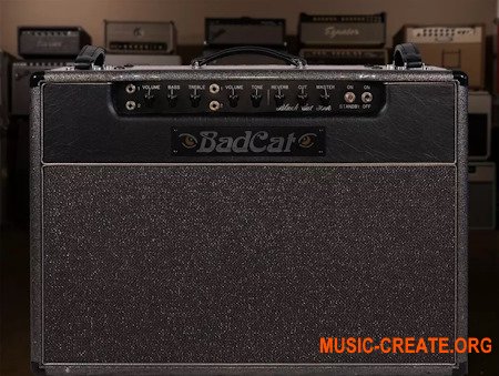 Alter Amp Works BC30 Sampson 212