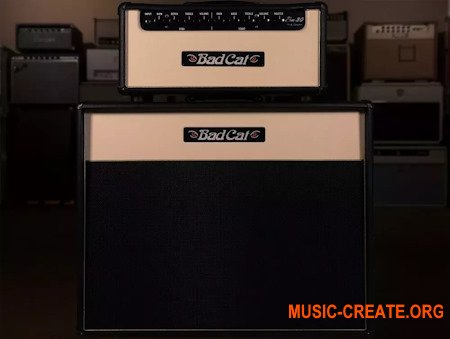 Alter Amp Works ERA 30