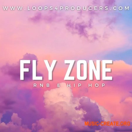 Loops 4 Producers Fly Zone