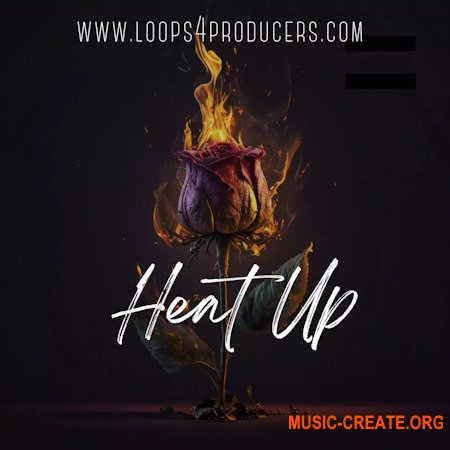 Loops 4 Producers Heat Up
