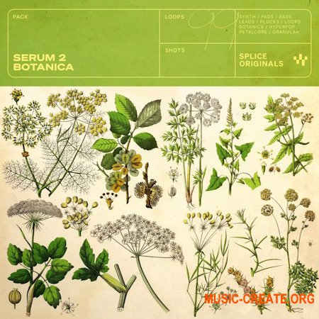 Splice Originals Serum 2 Botanica