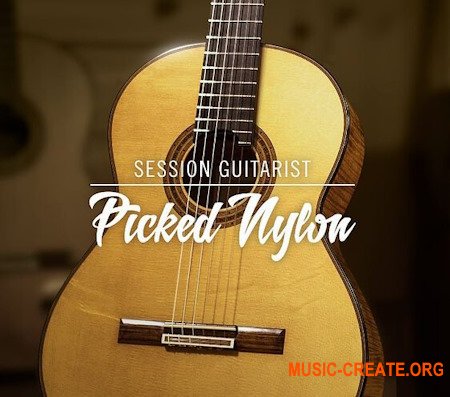Native Instruments Session Guitarist Picked Nylon