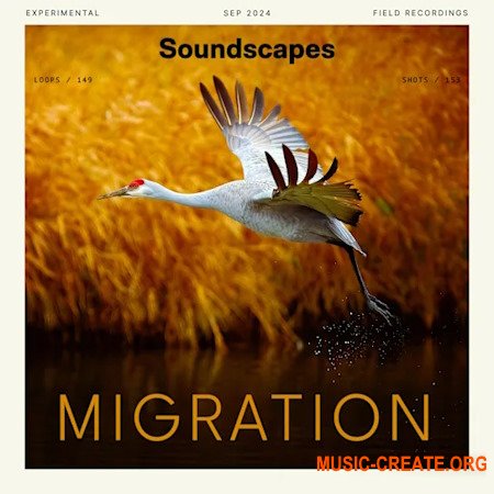 Splice Soundscapes Migration