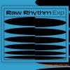 Native Instruments Raw Rhythm (Maschine Expansion)