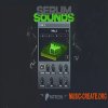 iFeature IFEA - Serum Sounds Vol.1 (SERUM PRESETS) iFeature IFEA - Serum Sounds Vol.1 (SERUM PRESETS)