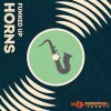 Inspiration Sounds Funked Up Horns (WAV) Inspiration Sounds Funked Up Horns (WAV)