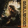 Hive Audio Spellbound Drum Kit (WAV) Hive Audio Spellbound Drum Kit (WAV)