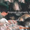 Vicious Antelope Tropical Pigments 3 (Pigments 3 presets) Vicious Antelope Tropical Pigments 3 (Pigments 3 presets)