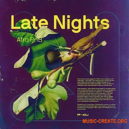 Renraku Late Nights - Afro Rnb