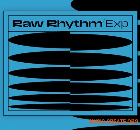 Native Instruments Rhythm (Maschine Expansion)