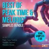 SINEE Best Of Peak Time & Melodic Techno Samples Bundle (WAV) SINEE Best Of Peak Time & Melodic Techno Samples Bundle (WAV)