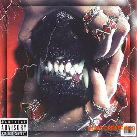 Soul Chemist A$ap Rocky Loop Kit Sample Pack Vintage Dior 50 Cent, Action Bronson, Freddie Gibbs