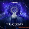 Olly James Signature Sounds Vol.25 The Afterlife Remix (WAV MiDi Presets)