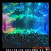 Olly James Signature Sounds Vol.28 Big Room vs Rave Room Construction Kits (WAV MiDi)