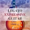 David Forner Legato Expressive Guitar (KONTAKT)