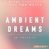 Tom Wolfe Ambient Dreams for Vital (Vital presets)