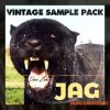 Dave Zeke Jag Vintage Sample Pack (WAV) Dave Zeke Jag Vintage Sample Pack (WAV)