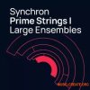 Vienna Symphonic Library - Synchron Prime Strings I v1.1 (VSL Synchron Player)