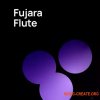 VSL HELLO Fujara v1.2 (VSL Synchron Player) VSL HELLO Fujara v1.2 (VSL Synchron Player)