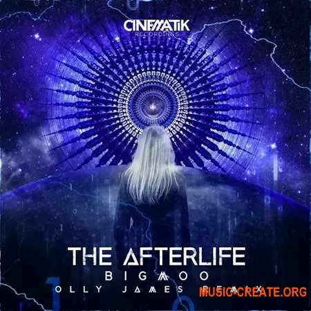 Olly James Signature Sounds Vol.25 The Afterlife Remix