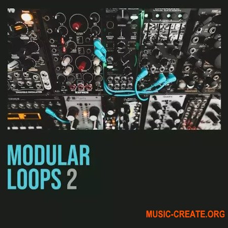 Shed Skin Records Shed Skin Records Modular Loops 2