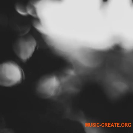 Polyend Bliss Chords