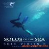 Performance Samples Solos of the Sea Solo Violin B (KONTAKT)