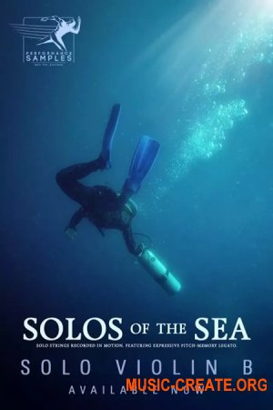 Performance Samples Solos of the Sea Solo Violin B (KONTAKT)