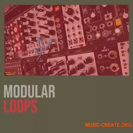 Shed Skin Records Shed Skin Records Modular Loops 1