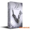 Silence+Other Sounds DOJO (KONTAKT) Silence+Other Sounds DOJO (KONTAKT)