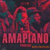 Tru Hitz Amapiano Passion (MULTiFORMAT) Tru Hitz Amapiano Passion (MULTiFORMAT)