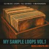 DJ Tools 4 Turntablism My Sample Loops Vol.1 (WAV)